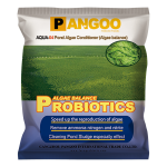 Well Manufacture Feed Additive Probiotics for Fish Shrimps Shells