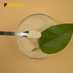 China Supply Bacillus Coagulans, Lactic Acid-forming Bacillus Bacteria With High Quality
