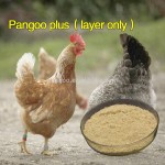 Probiotics Bacillus Subtilis/Bacillus Licheniformis for Poultry