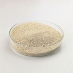 High quality lysine l lysine talk to an expert