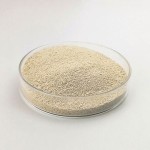 High quality lysine l lysine in china
