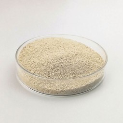 High quality lysine l lysine in china