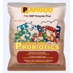 Cheap NSP Enzyme Plus Manufacturer