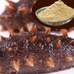 Aquatic Animal Feed Additives, Used in Fish Feed and Shrimp Feed for Nutration
