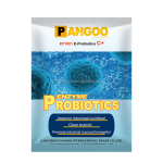 Probiotics for Horses Mix in Feed Probiotics