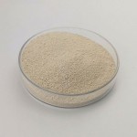 High quality lysine l lysine suppliers