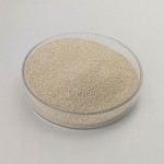 High quality lysine l lysine in china