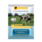 Probiotics for Horses Mix in Feed Probiotics