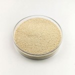 High quality lysine l lysine suppliers