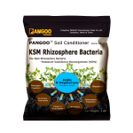 Bacillus Mucilaginosus Enhance Soil Fertility