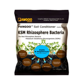 Bacillus Mucilaginosus Enhance Soil Fertility