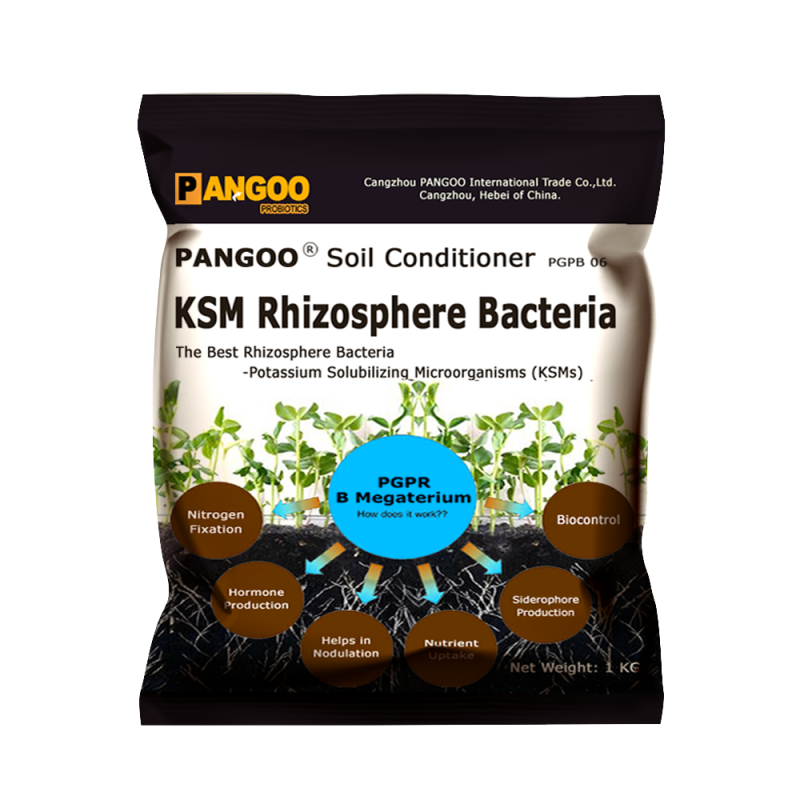 Bacillus Mucilaginosus Enhance Soil Fertility