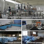Factory Price Feed Additive Probiotics for Horses China Supplier