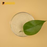 Cheap NSP Enzyme Plus Manufacturer
