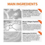 Collagen Radiance Cream - Anti-Aging Face Lotion Factory