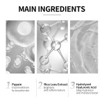 Rice Powder Cleanser - Gentle Exfoliating Brightening