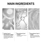 Collagen Face Mask - Nano-Flexible Carrier Technology