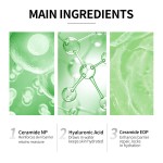 Pure Foam Cleanser - Plant-Derived Surfactants