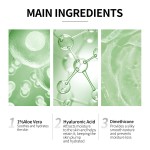 Citrus Body Lotion - Spicy Revive Hydration Care