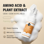 Amino Acid Face Wash Manufacturer - Private Label Green Tea Aloe Brush