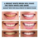 Mousse Toothpaste - OEM Fresh Clean Care