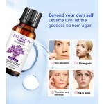 Essential Oils Kit - Orange Peppermint Lemon Set