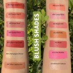 Blush Samples Manufacturer - Flexible Custom Packaging Formula