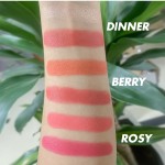 Blush Palette Manufacturer - New Arrival Pink 2 Tone Black Skin