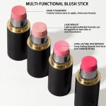 Blush Stick Factory - Hot Selling Custom Label 3 in 1