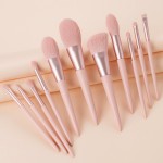 Makeup Brush Set Factory - 11 Piece 2021 Hot Sale Private