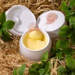 Makeup Remover Manufacturer - Organic Gentle Nourishing Balm Spoon