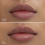 Lip Balm Manufacturer - Wholesale Shea Butter SPF 15 Organic