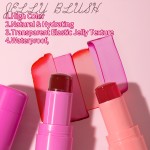 Jelly Blush Stick Factory - Custom Korean Cooling 3 in 1