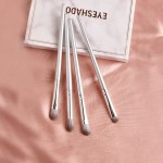 Eyeshadow Brush Set Manufacturer - 2021 Hot Selling 4pcs Silver Bag