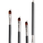 Eye Shadow Brush Factory - Wholesales Customized Logo Private Label