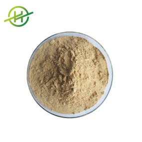 Tannin Powder Factory - High Quality Gallnut Extract Best Price