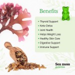 Sea Moss Gummies Manufacturer - Customized Raw Material Private Label