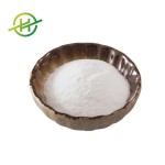 Propyl Gallate Powder Manufacturer - Food Additive 99% CAS 121-79-9
