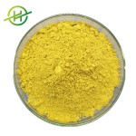 Apigenin Powder Manufacturer - Bulk 5% 98% Powder Capsules