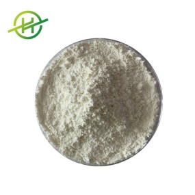 Lime Juice Powder Factory - Pure Organic Concentrate Powder