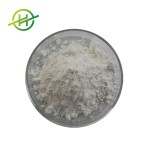 Oxymatrine Powder Factory - Factory Supply Bulk 98%
