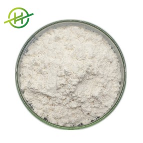 Whey Protein Powder Manufacturer - Wholesale WPI 90% WPC 80%