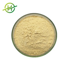 Beta Glucanase Powder Manufacturer - Food Additive Enzyme