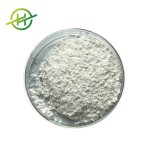 Probiotics Powder Factory - Hot Sale Lactobacillus Bulgaricus