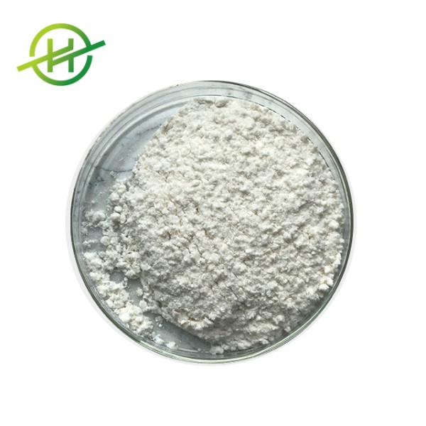 Probiotics Powder Factory - Hot Sale Lactobacillus Bulgaricus