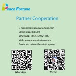 Detox Powder - Colon Cleanser Body Detox