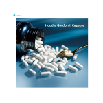 Hoodia Gordonii Capsules - Weight Loss Supplement