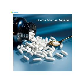 Hoodia Gordonii Capsules - Weight Loss Supplement