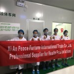 Ginseng Coffee Powder - Energy Performance Supplement