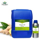Ginger Essential Oil - Hair Growth Extract Supplier